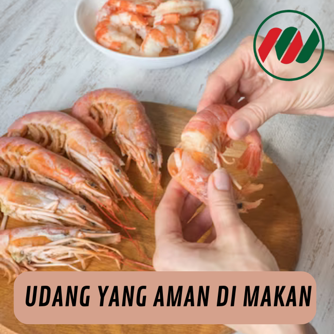 Jenis-jenis Udang yang Bisa Dimakan, Apa Saja Kira-Kira?